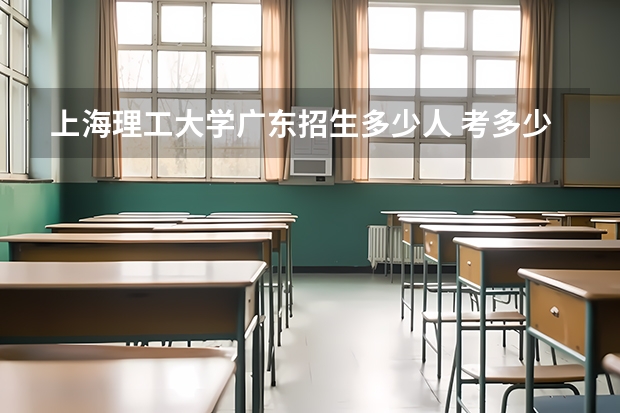 上海理工大学广东招生多少人 考多少分可以上