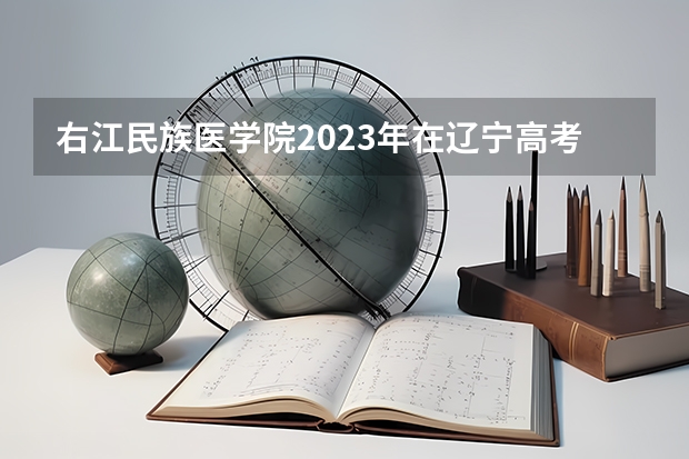 右江民族医学院2023年在辽宁高考各专业的招生人数是多少