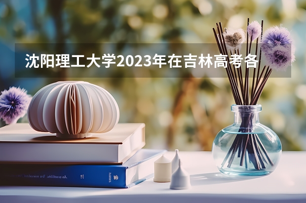 沈阳理工大学2023年在吉林高考各专业的招生人数是多少