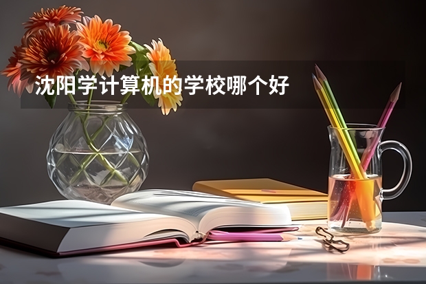 沈阳学计算机的学校哪个好