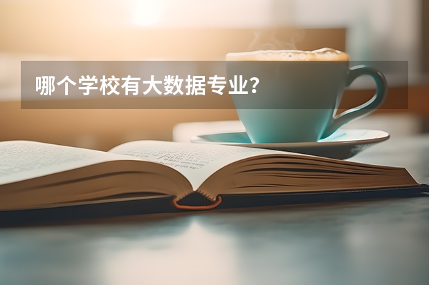 哪个学校有大数据专业？