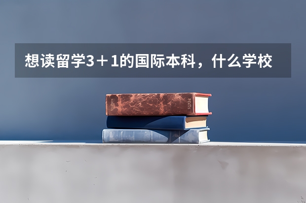 想读留学3＋1的国际本科，什么学校的好？