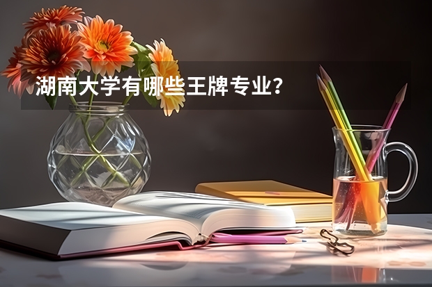 湖南大学有哪些王牌专业？