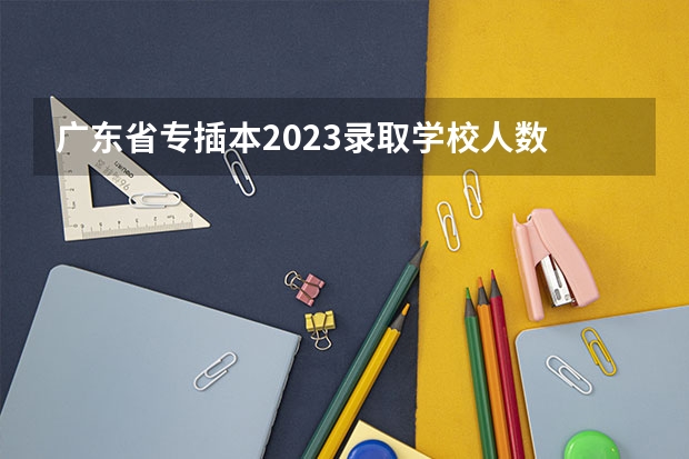 广东省专插本2023录取学校人数 广东公立本科招生人数