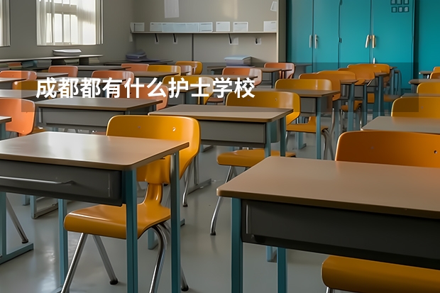 成都都有什么护士学校