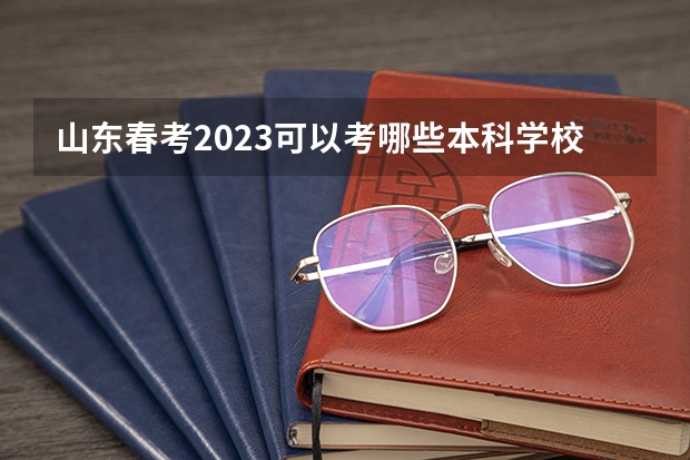 山东春考2023可以考哪些本科学校