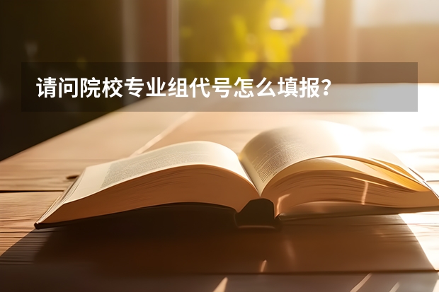 请问院校专业组代号怎么填报？