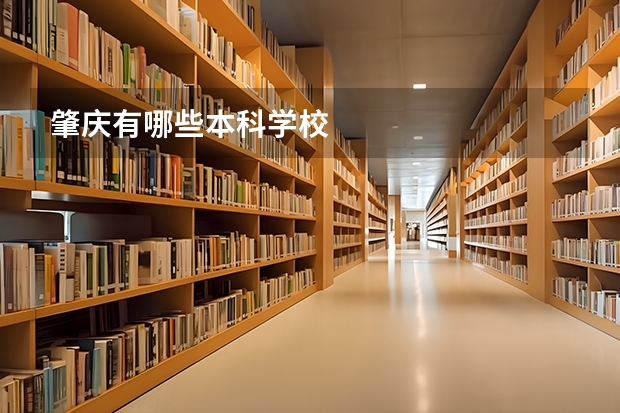 肇庆有哪些本科学校