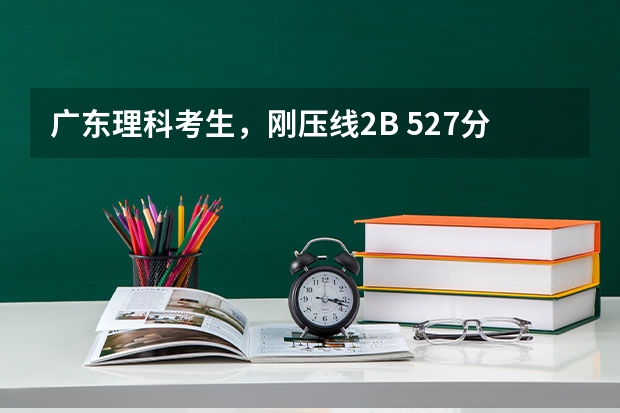 广东理科考生，刚压线2B 527分，报广东药学院录取几率大吗