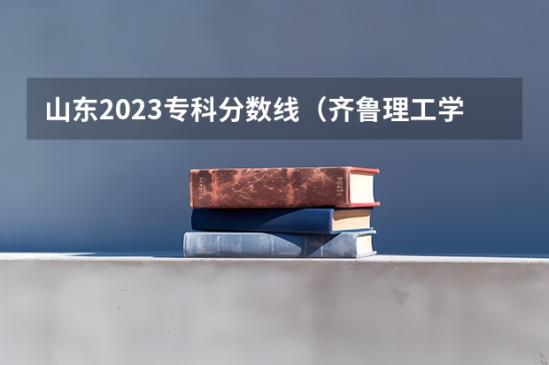 山东2023专科分数线（齐鲁理工学院艺术类专科录取分数线？）