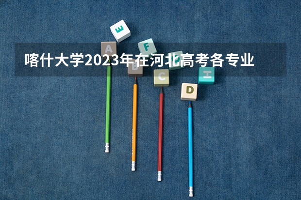 喀什大学2023年在河北高考各专业的招生人数是多少