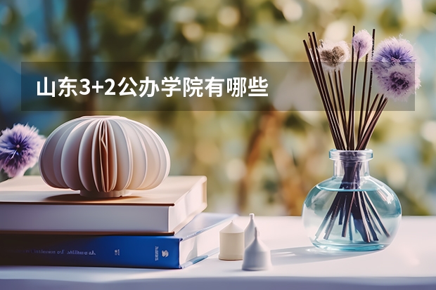 山东3+2公办学院有哪些