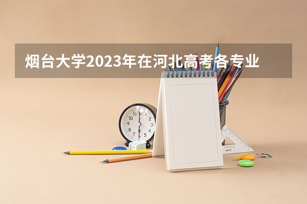 烟台大学2023年在河北高考各专业的招生人数是多少