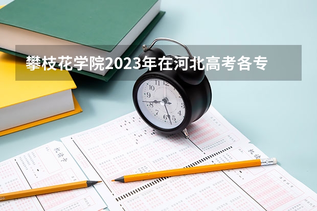 攀枝花学院2023年在河北高考各专业的招生人数是多少