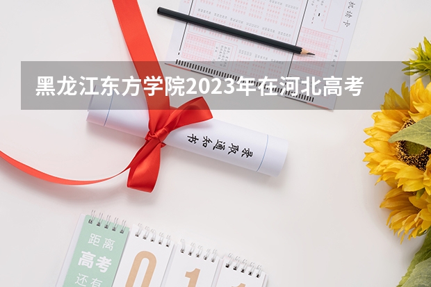 黑龙江东方学院2023年在河北高考各专业的招生人数是多少