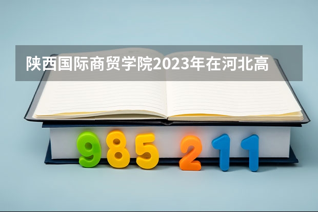 陕西国际商贸学院2023年在河北高考各专业的招生人数是多少