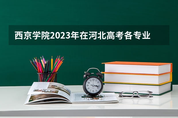 西京学院2023年在河北高考各专业的招生人数是多少