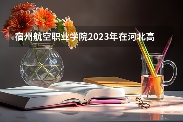 宿州航空职业学院2023年在河北高考各专业的招生人数是多少