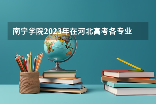 南宁学院2023年在河北高考各专业的招生人数是多少