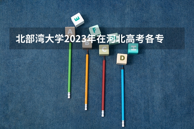 北部湾大学2023年在河北高考各专业的招生人数是多少